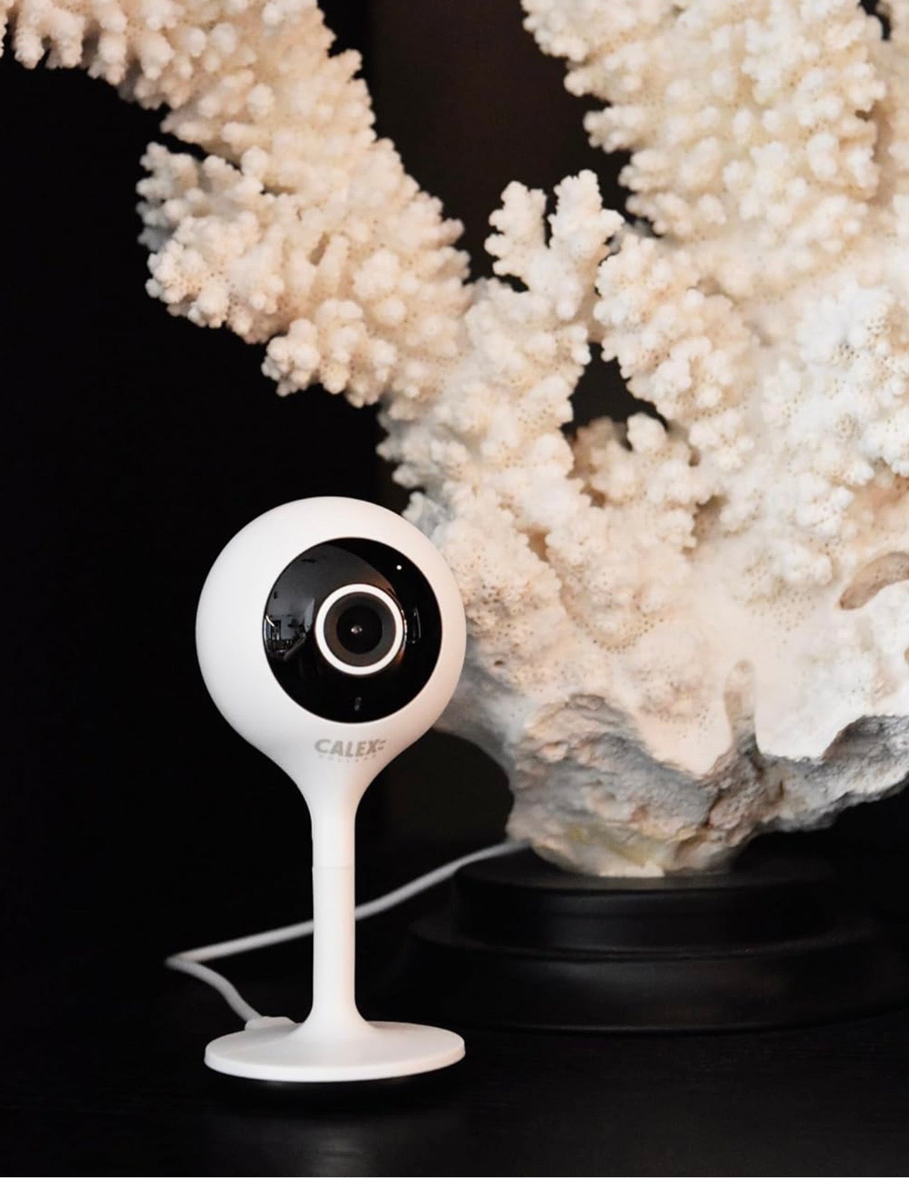 Caméra IP Wi-Fi Intérieure CALEX Mini – Full HD 1080p – Vision Nocturne – Détection de Mouvement – Audio Bidirectionnel